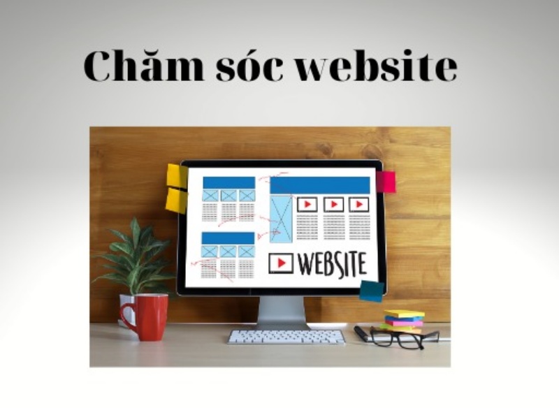 huong-dan-cham-soc-website-de-thu-hut-nhieu-luot-truy-cap